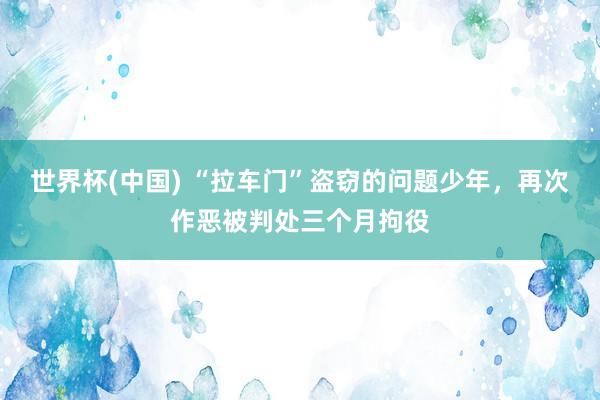 世界杯(中國) “拉車門”盜竊的問題少年，再次作惡被判處三個月拘役