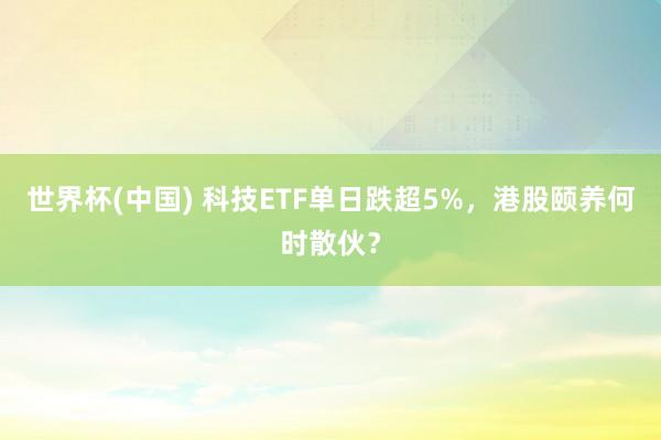 世界杯(中國) 科技ETF單日跌超5%，港股頤養何時散伙？